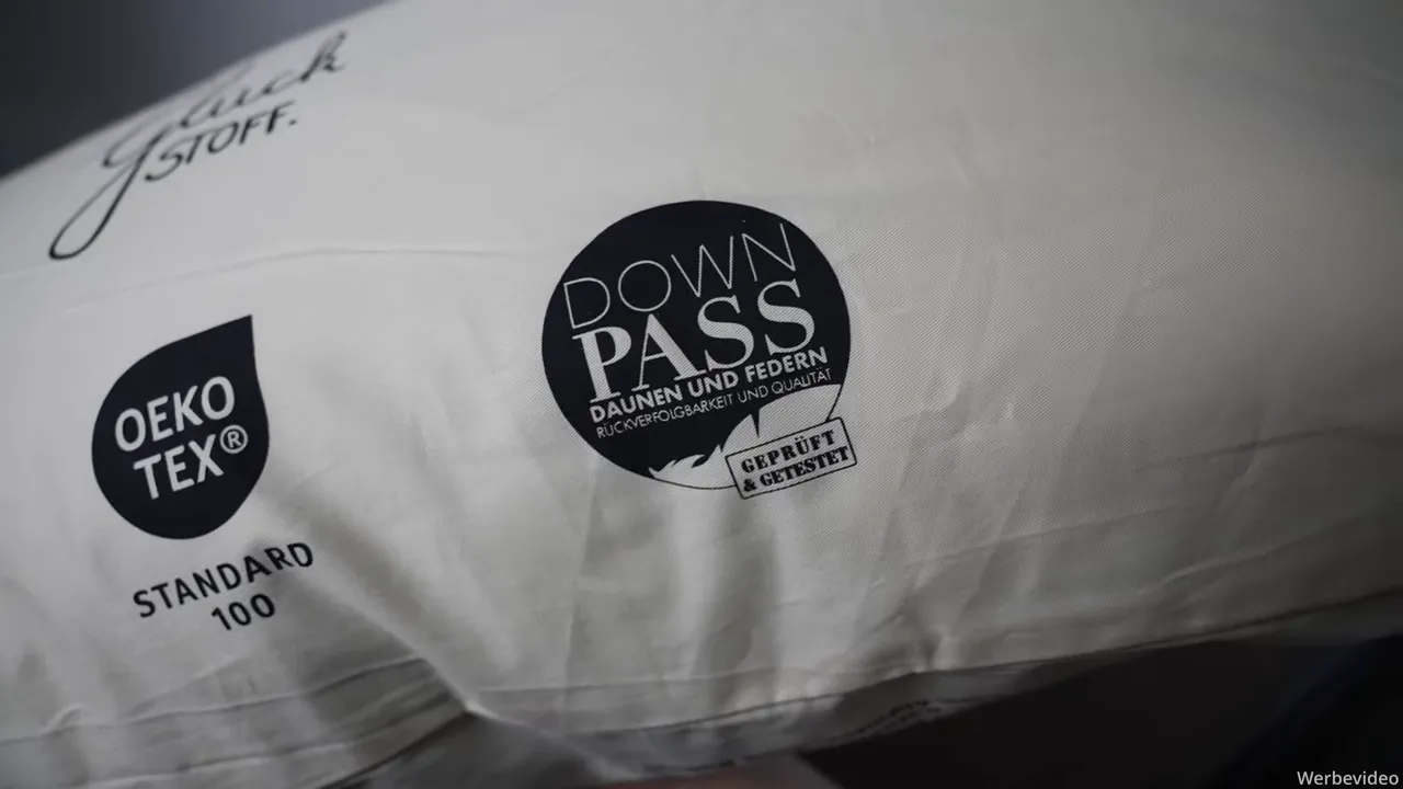 Scharfe Nahaufnahme des Kissens mit DownPass‑Logo und Oeko‑Tex‑Kennzeichnung
