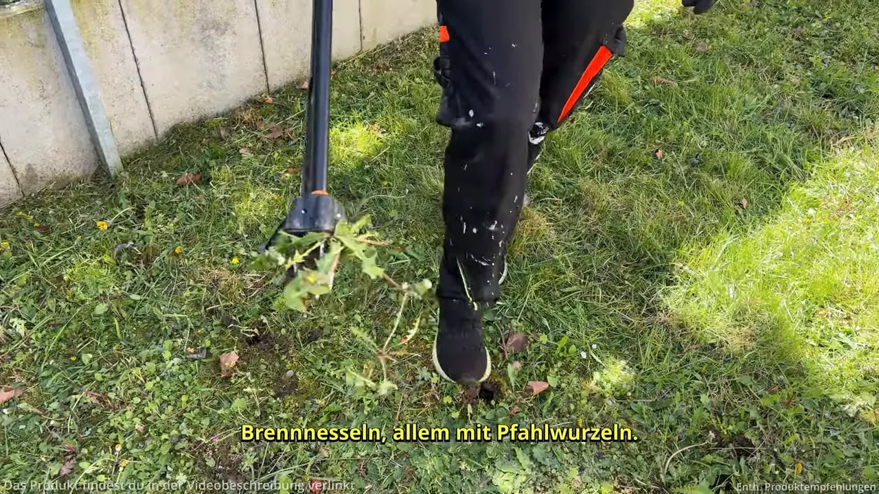 Brennnesseln mit Pfahlwurzel werden mit dem Fiskars X-Act Unkrautstecher herausgezogen