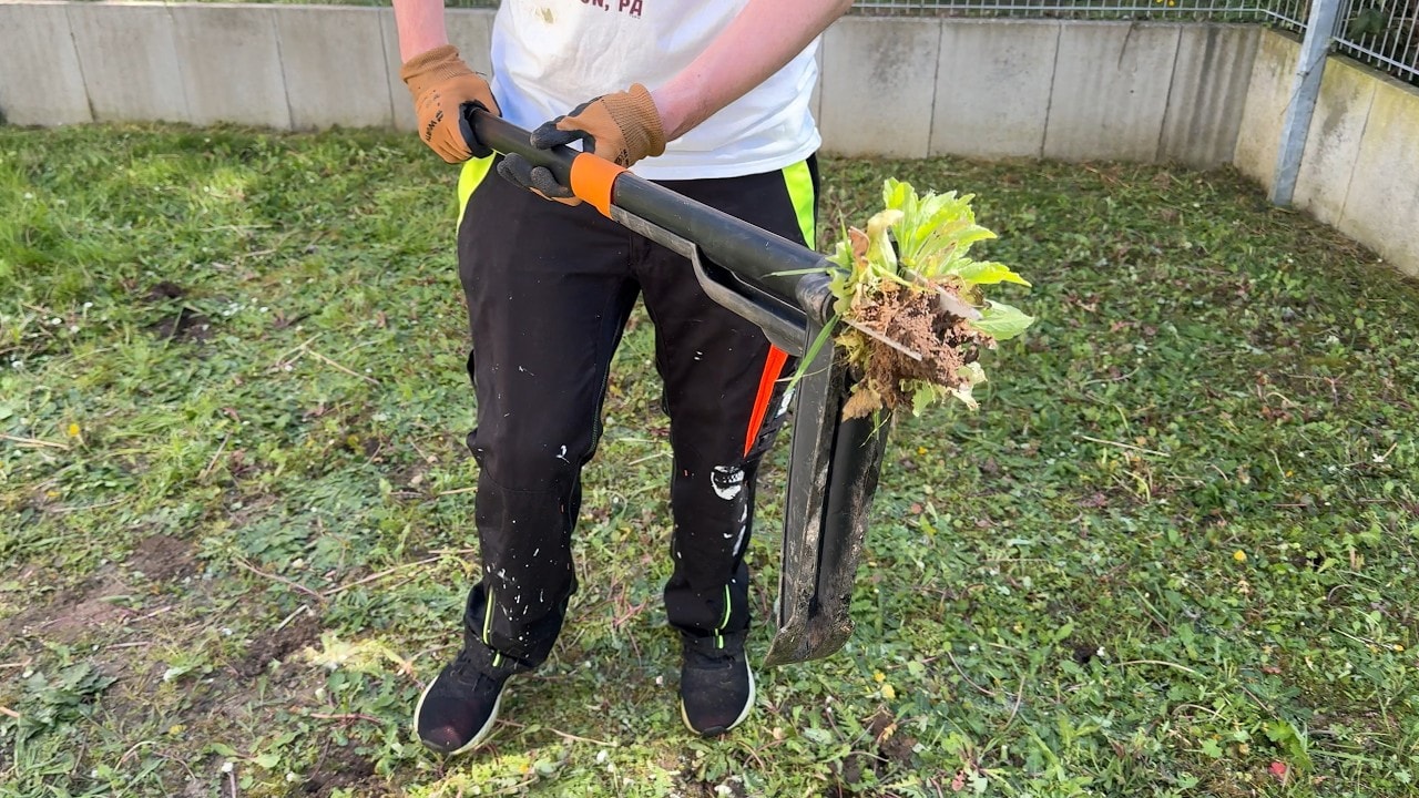 video thumbnail for 'Der beste Unkrautstecher für den Garten! (Fiskars)'