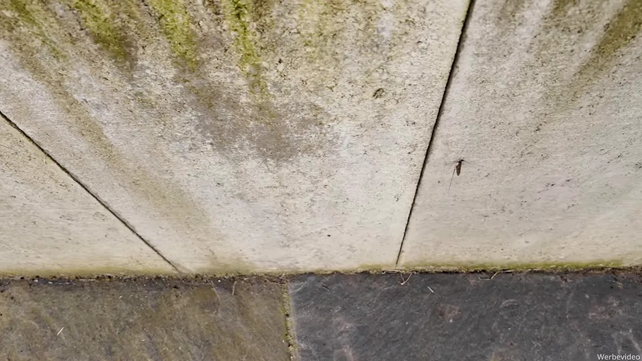 Nahaufnahme einer verschmutzten Betonmauer mit dunklen und grünen Belägen über Steinplatten