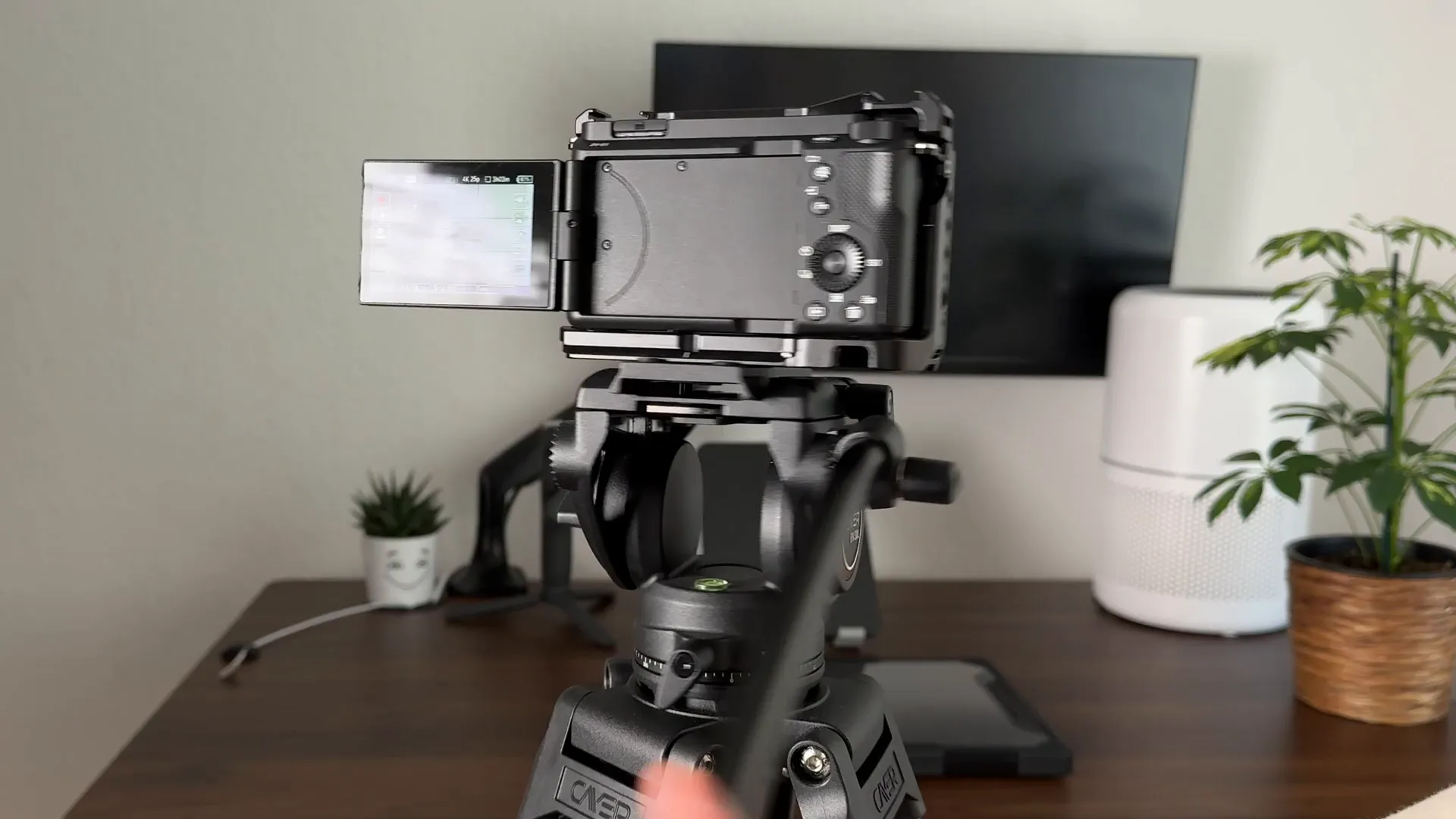 Cayer BV30L video tripod in my test (photo 2)
