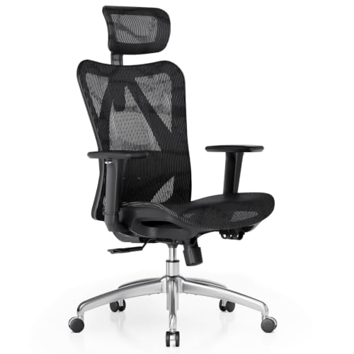 Ergonomischer Bürostuhl: die Top 3 im Vergleich 3 SIHOO M57