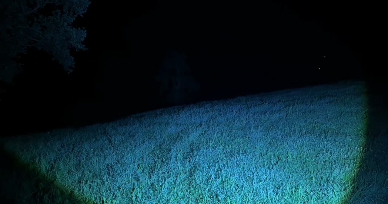 Breites Flutlicht der Shadowhawk über einer Wiese