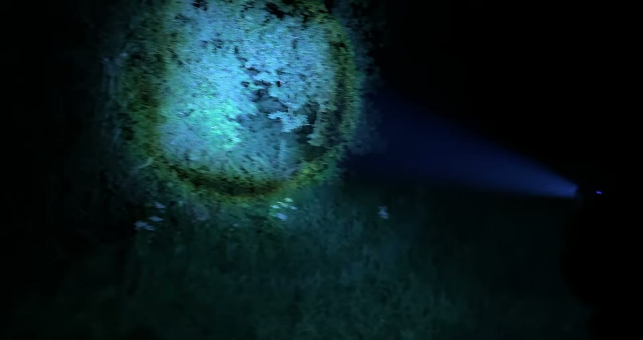 Fokussierter Lichtstrahl der Shadowhawk auf Büsche im Wald