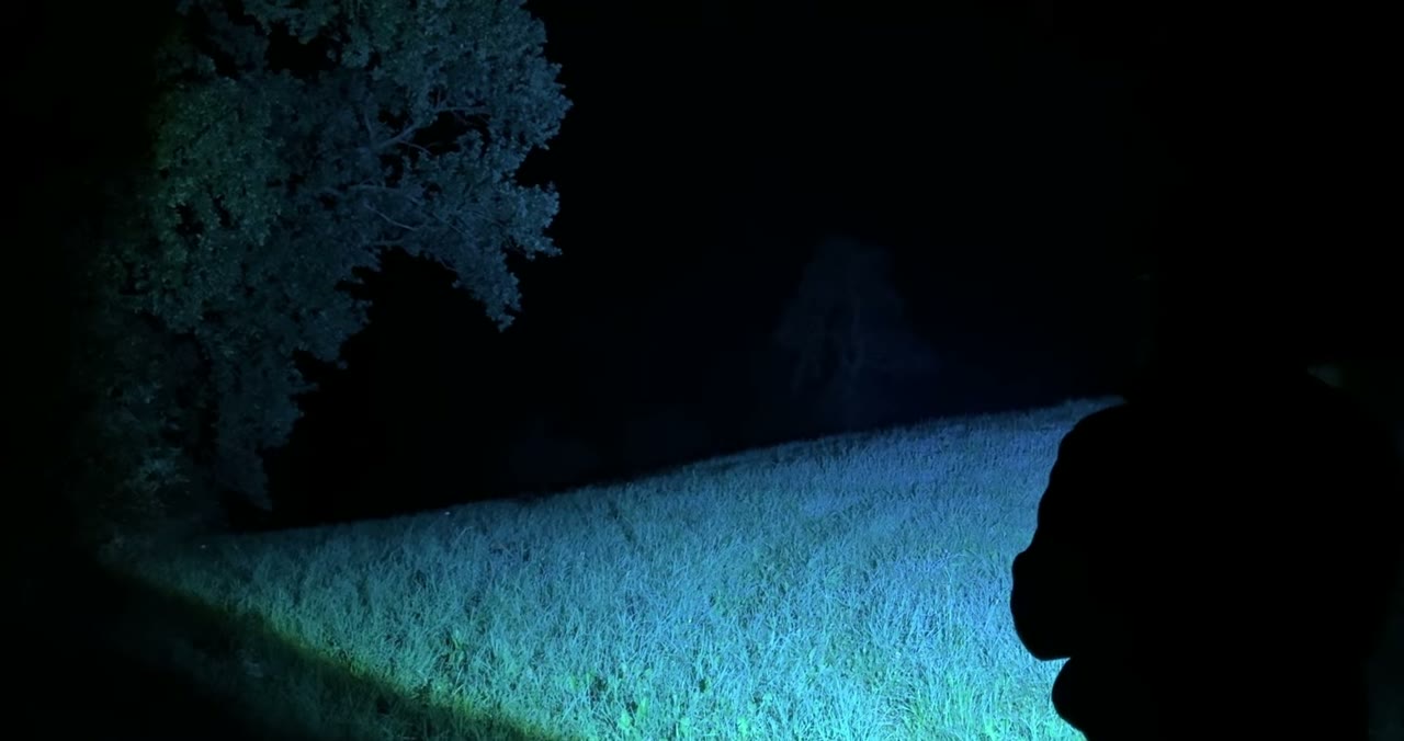 Lichtstrahl der Shadowhawk Taschenlampe bei Nacht