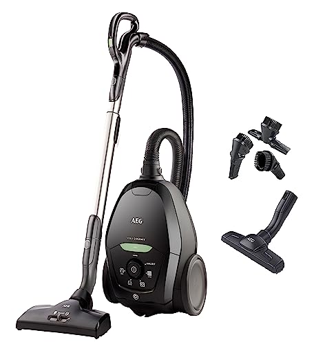 AEG Premium-Staubsauger: welcher passt zu Dir? 1 AEG VX82-1-ÖKO