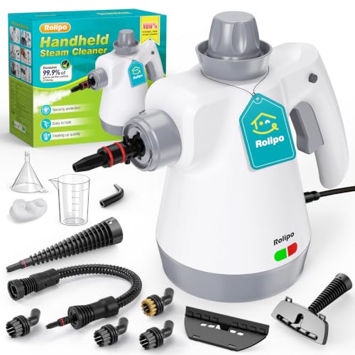 Dampfreiniger um 50 Euro: die Top 3 1 Rolipo TMSC-001