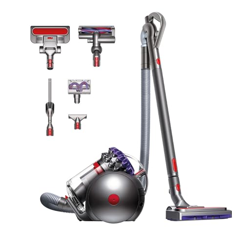 Hochwertiger Staubsauger: die Top 3 3 Dyson Big Ball Parquet 2